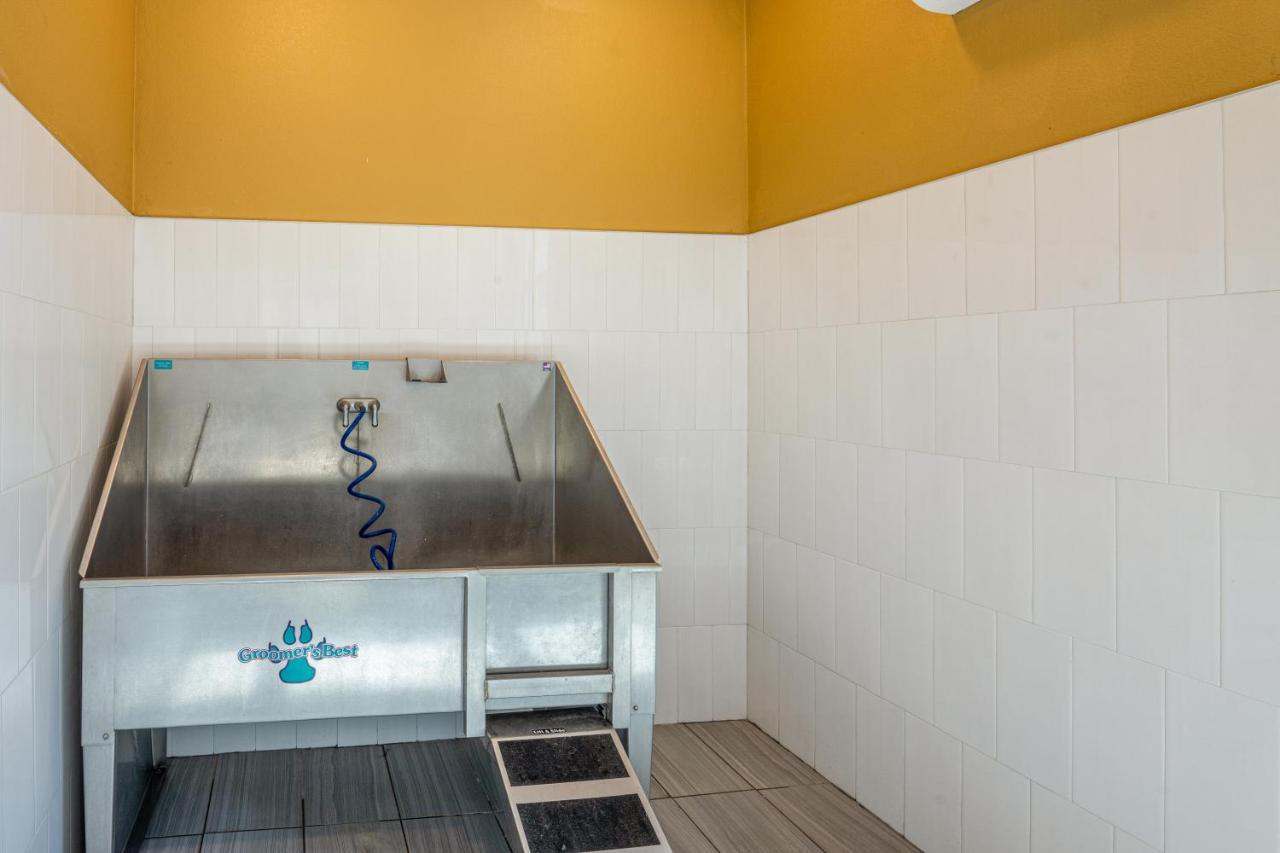 Luxe 3B/2B Getaway - Pool, Gym, Parking, Pet Wash Apartment Leander Exterior photo